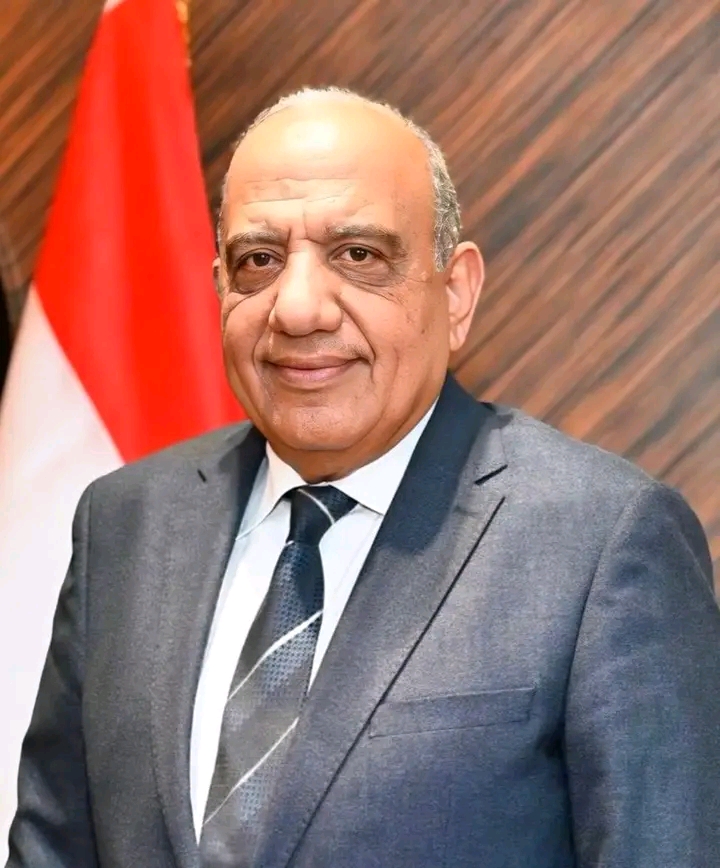 وزير الكهرباء يزور الصين لتعزيز التعاون في توطين الصناعات الكهربائية والطاقة النظيفة