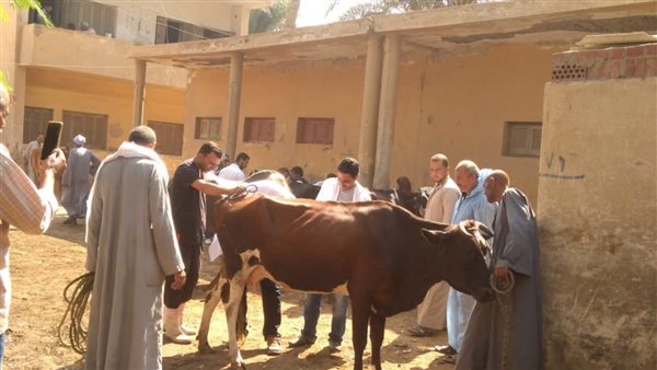 معهد بحوث الصحة الحيوانية ينفذ 3 قوافل علاجية خلال يونيو 