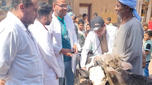  الزراعة تطلق 214 قافلة بيطرية مجانية في 176 قرية خلال يونيو الماضي