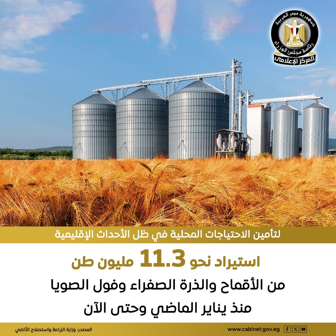 اتخذت مصر إجراءات استباقية للأزمات الإقليمية الراهنة لضمان تحقيق الأمن الغذائي للمواطنين.