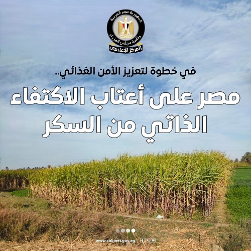  مصر تقترب من تحقيق الاكتفاء الذاتي من السكر